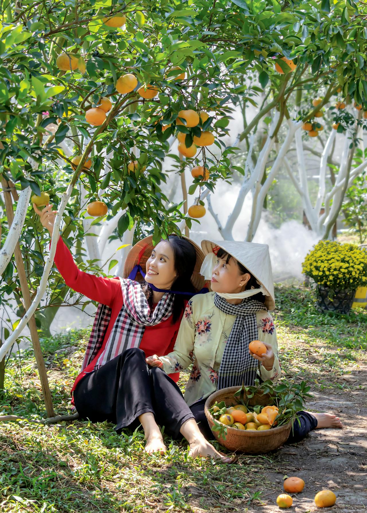 Capture the authentic charm of Vietnam’s lush scene